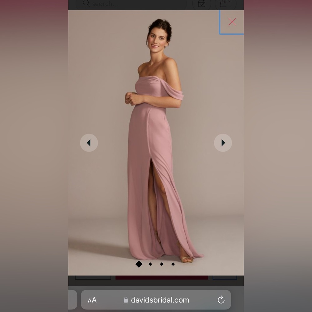 David’s Bridal Bridesmaid Dress